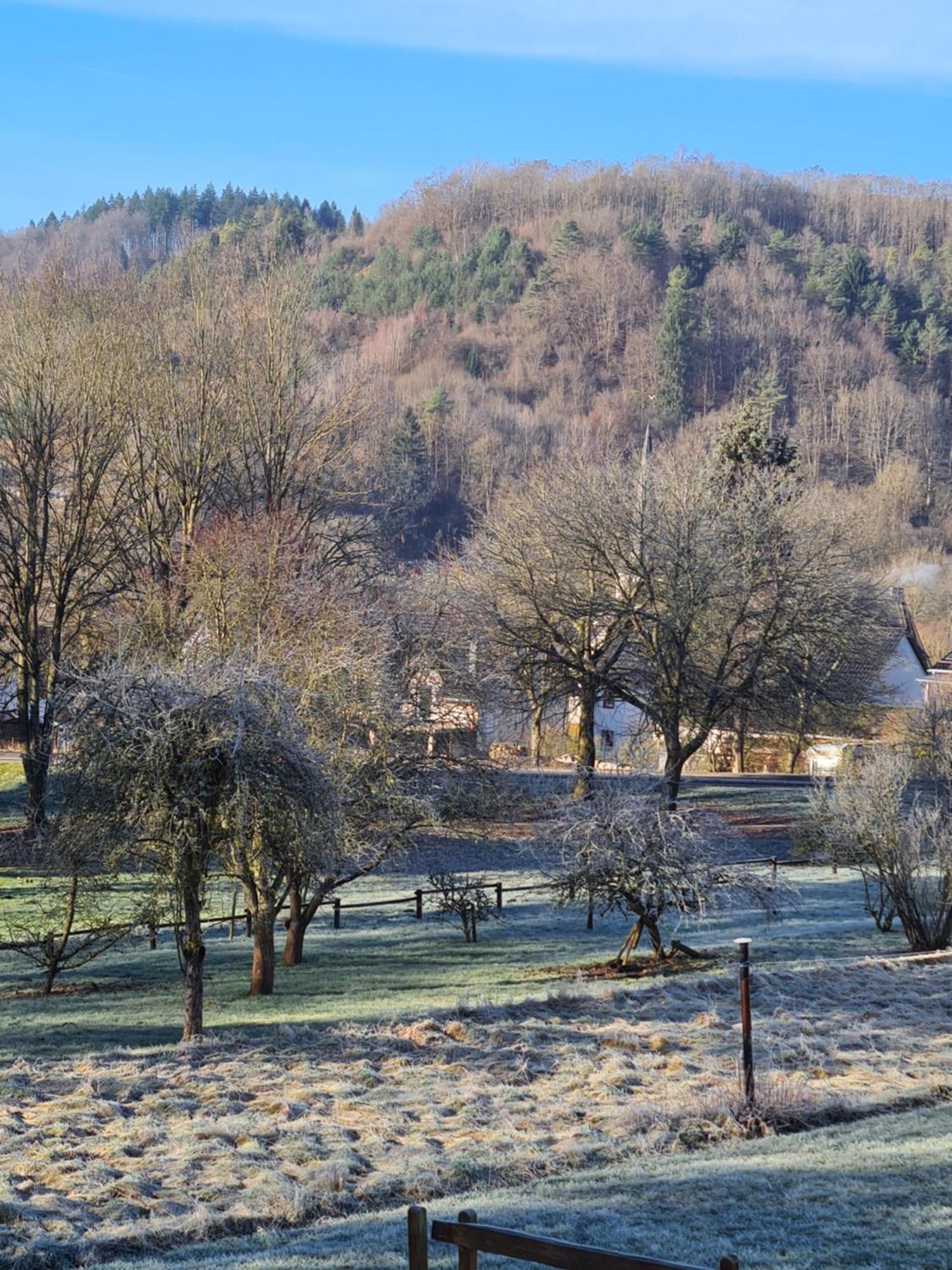 Ferienwohnung Burgblick Pelm Екстериор снимка